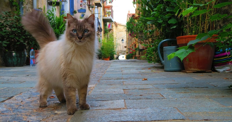 Idée week-end romantique en Provence : 15 escapades à deux inoubliables