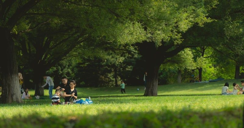 Activités en plein air pour familles : 15 idées de séjours inoubliables