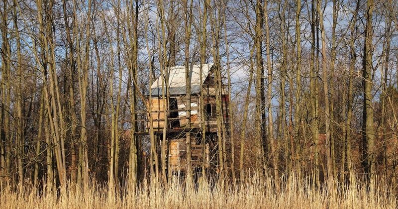 Séjour dans une cabane dans les arbres : où et comment réserver malin