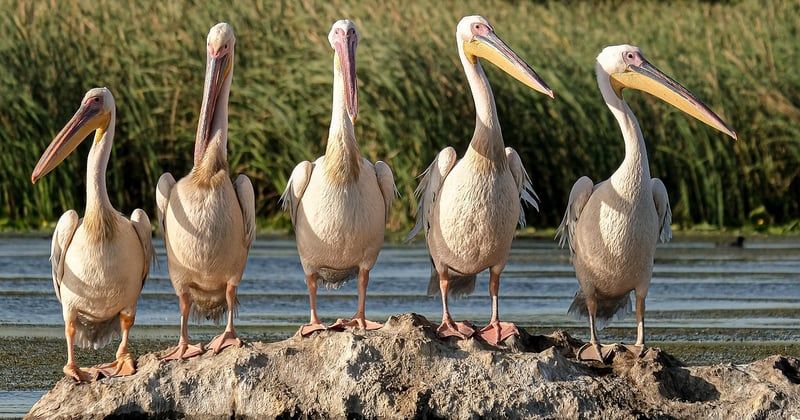 Écotourisme : comment voyager en respectant la nature sans compromis